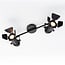 Ceiling spotlight Cammy, 2-light, matte-black