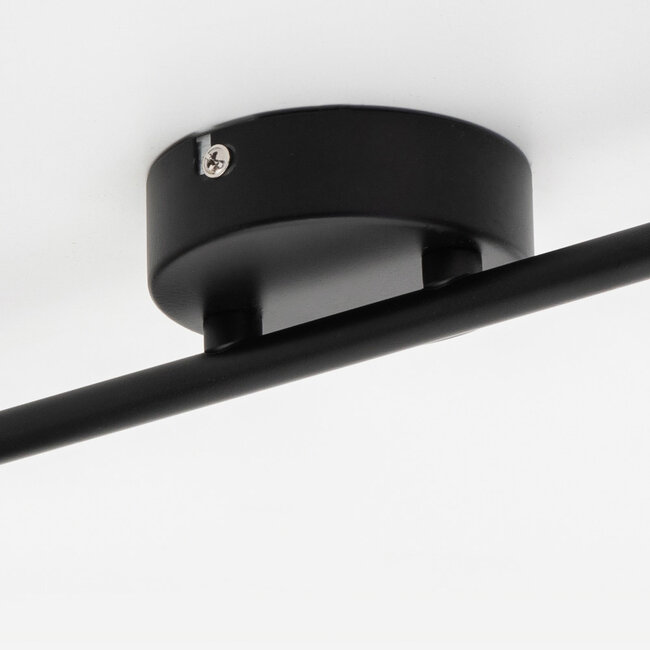 Industrial ceiling spotlight smoked glass, 2-lights - Gesa