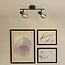 2-light ceiling light Phoenix - smoked glass with mirror effect