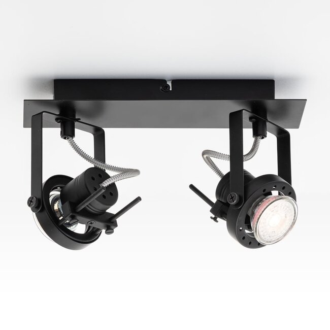 Designer 2-light ceiling lamp Dayton, adjustable black