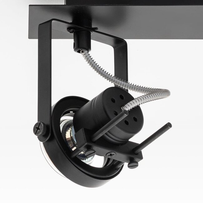 Designer 2-light ceiling lamp Dayton, adjustable black
