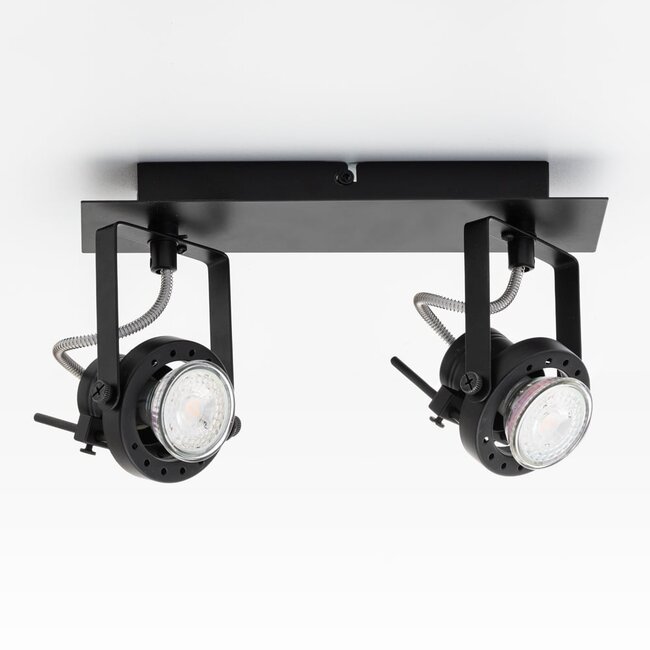 Designer 2-light ceiling lamp Dayton, adjustable black