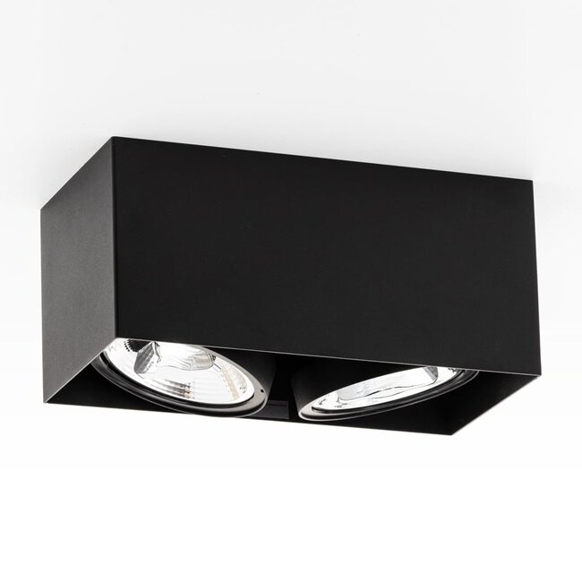 AR111 2-fold spotlight Brooklyn - black