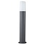 Outdoor floor lamp Izo in anthracite - 50 cm