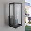 Outdoor wall light Carlo - black stainless steel with glass
