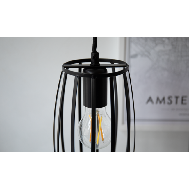 Industrial pendant lamp Maya in matte-black open cage frame