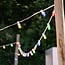 Dimmable filament bulb in green 3.5W