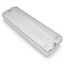 5.5 watt surface-mounted emergency lighting OTG-DD