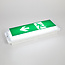 Emergency lighting with transparent cover - LX001