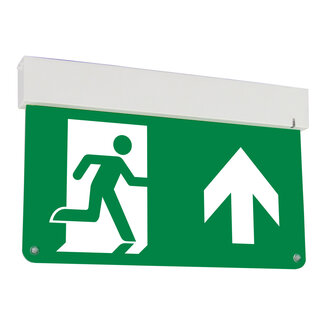 Surface-mounted emergency lighting LX002