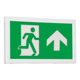 Surface-mounted emergency lighting - LX006
