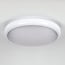 ceiling light with motion sensor and emergency lighting unit - adjustable colour temperature