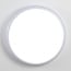 ceiling light with motion sensor and emergency lighting unit - adjustable colour temperature