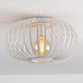 Ceiling lamp Fiore 1-light in white