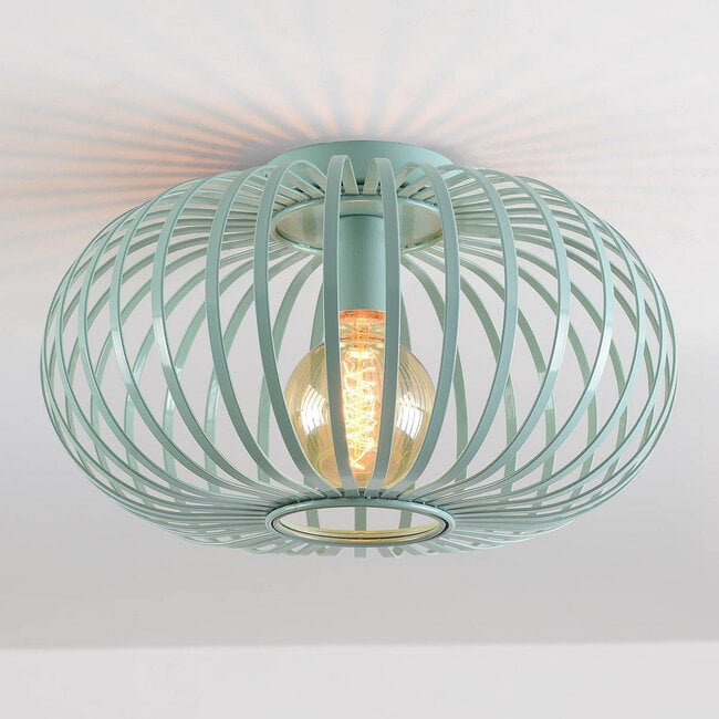 Ceiling lamp Fiore 1-light in green