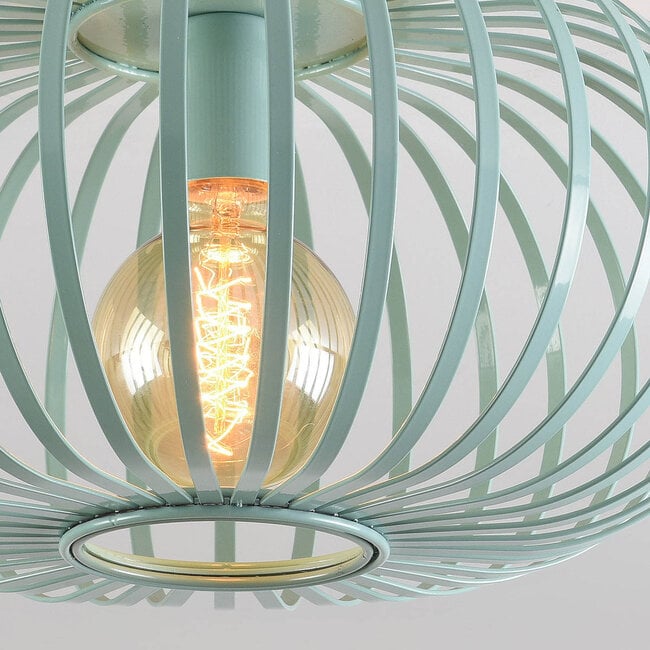 Ceiling lamp Fiore 1-light in green