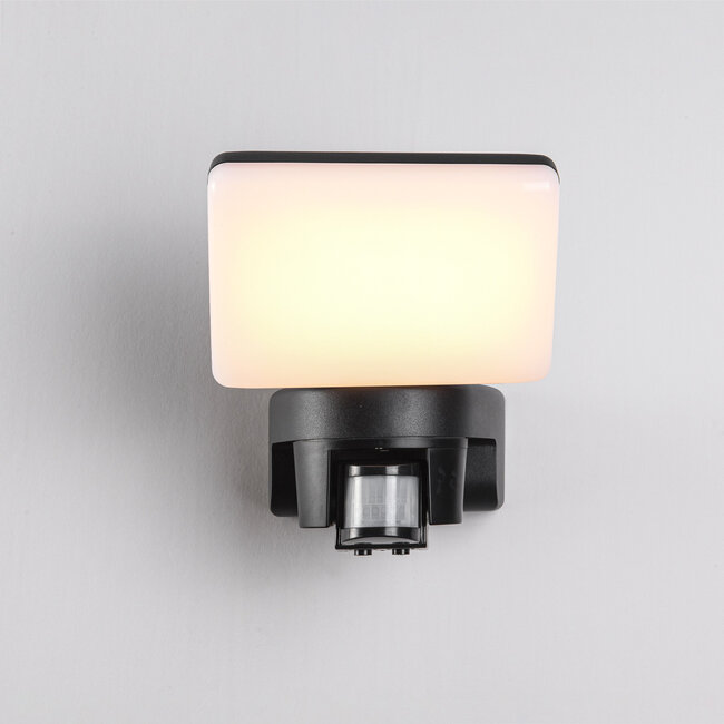 Outdoor wall light Dexter with adjustable light angle and sensor - black