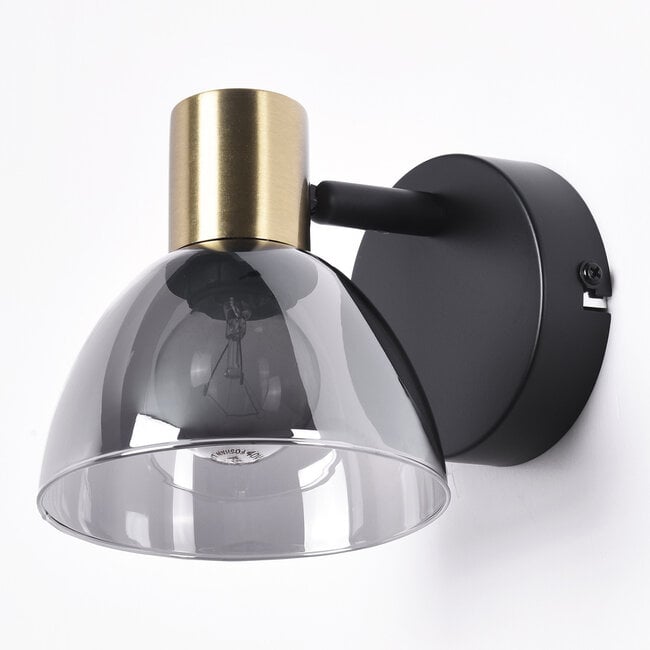 Wall spotlight Kyron - smoked glass and brass gold, adjustable