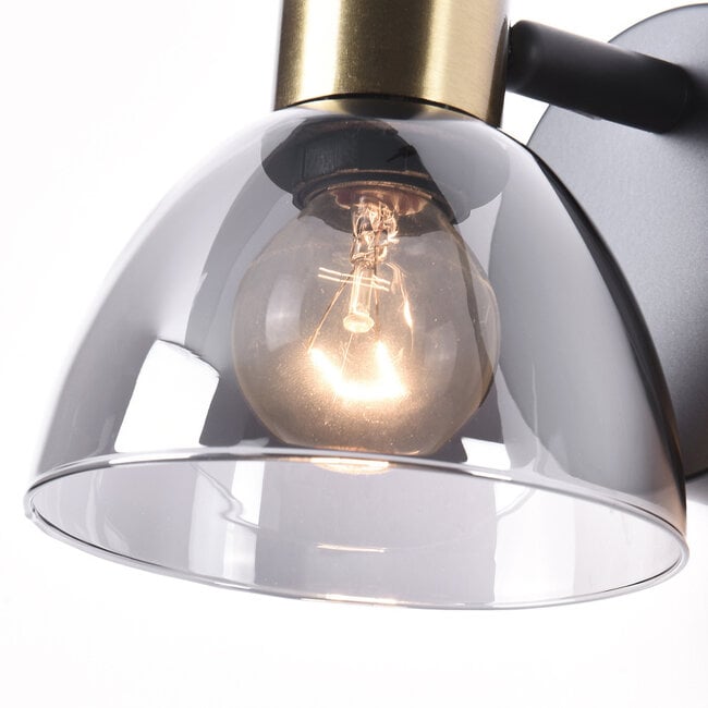 Wall spotlight Kyron - smoked glass and brass gold, adjustable