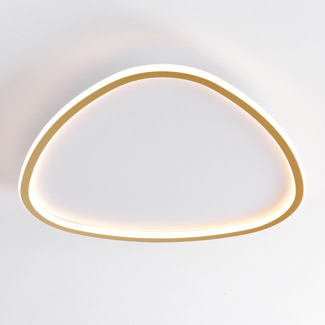 Ceiling light Rory with dimmable LEDs