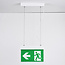 Emergency lighting surface-mounted, ceiling-mounted with pendant