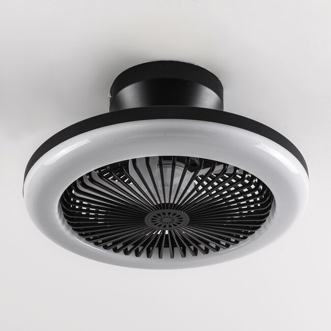 Ceiling fan Gale - dimmable and adjustable colour temperature