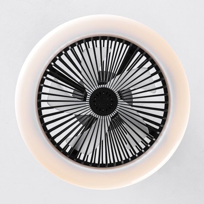 Ceiling fan Gale - dimmable and adjustable colour temperature