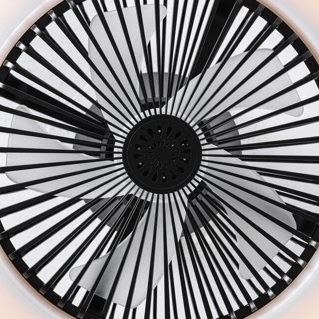 Ceiling fan Gale - dimmable and adjustable colour temperature