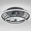 Ceiling fan Lilu - black with integrated LED and remote control