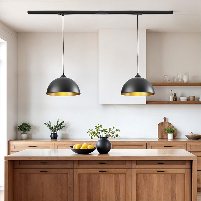 1-phase rail pendant lamp Fos - Black with Golden interior