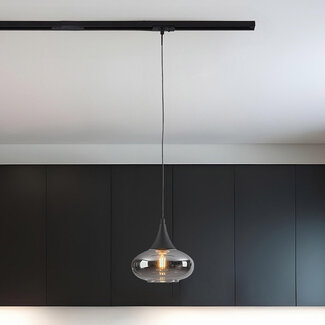 Single-phase rail pendant lamp with smoked glass and mirror effect - Nill