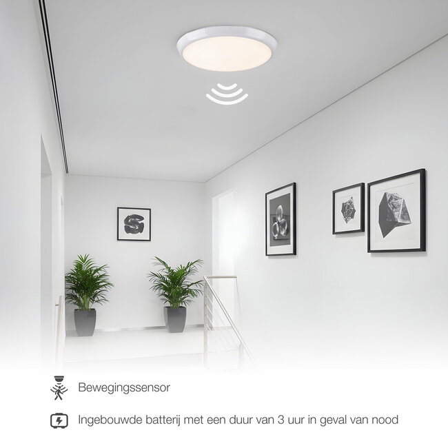 White flush ceiling lights Ø25.5 cm with emergency unit, sensor and CCT switch 3000/4000/6000K
