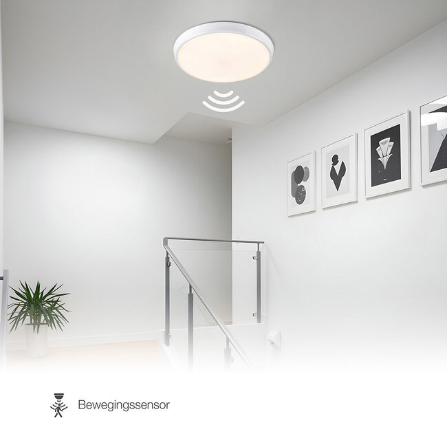 White flush ceiling light Ø25.5 cm with sensor and adjustable colour temperature