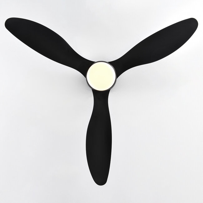 Summer/winter ceiling fan Circo Black with adjustable Colour temperature