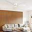 Summer/winter ceiling fan Circo White with adjustable colour temperature