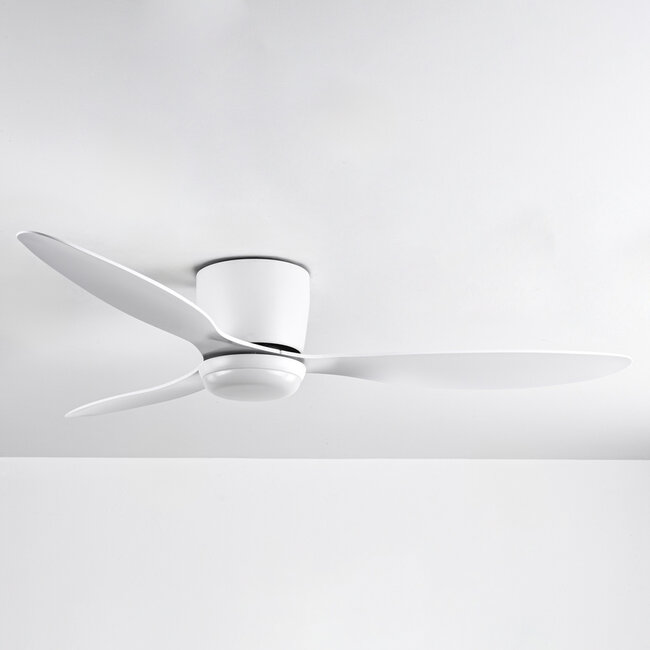 Summer/winter ceiling fan Circo White with adjustable colour temperature
