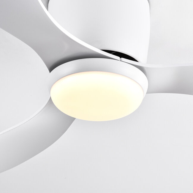 Summer/winter ceiling fan Circo White with adjustable colour temperature