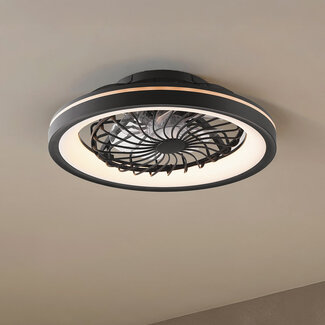 Ceiling fan with dimmable LEDs and RGB function - Flow