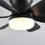 Ceiling fan Swift in black - adjustable colour temperature