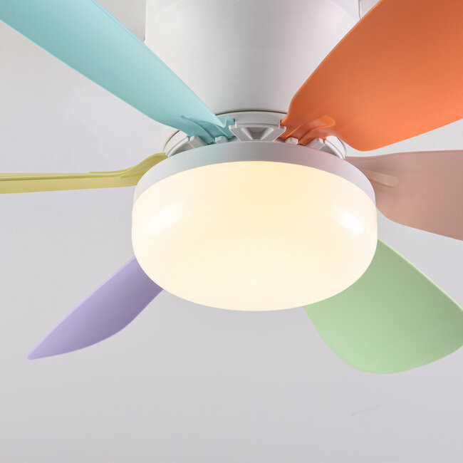Colourful Swift ceiling fan with light and remote control