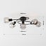 5-light ceiling light Globe - smoked glass