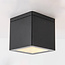 Modern outdoor ceiling spotlight Nello - Black