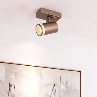 Modern Dotto ceiling spotlight in warm earth tone, 1-light - adjustable