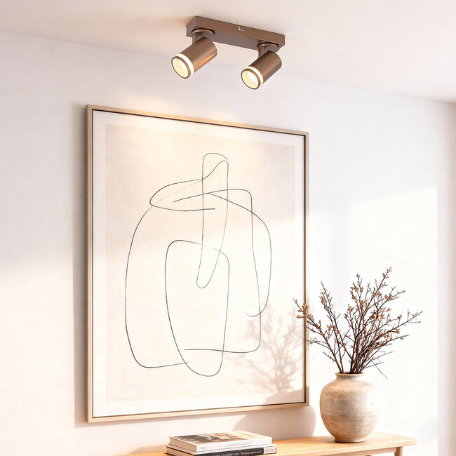 Modern Dotto ceiling spotlight in warm earth tone, 2-light - adjustable