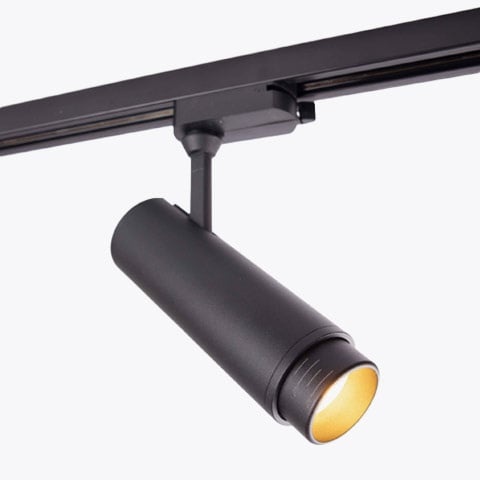 Track spotlights with integrated light source