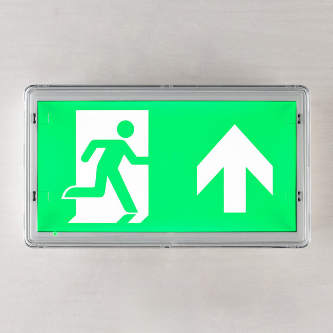 3 watt surface-mounted emergency lighting with 4 pictograms