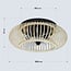 Ceiling fan Paco - bamboo with summer/winter function