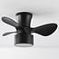 Compact ceiling fan Vejas - black with adjustable colour temperature