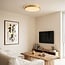 Modern Gorila gold ceiling light with 3-step dimmable LEDs