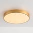 Modern Gorila gold ceiling light with 3-step dimmable LEDs
